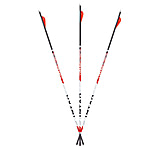 Image of Carbon Express Maxima Triad Shafts