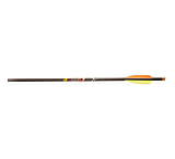 Image of Carbon Express Mayhem Bolt