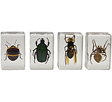 Image of Celestron 3D Specimen Slide Kit #2