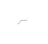 Centennial Defense Systems Stainless Steel Slide Lock Spring, fits Gen 1-4 G26, 27, 29, 30, 33, 36, 39, SLLSPR-GLK-14-G26