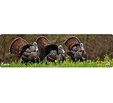 Image of Cerus Gear Magnum XXL 14x48 Eastern Tom Promat