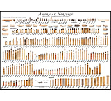 Image of Chamberlain American Heritage Black Powder 27"x 38" Poster AMERICANHERI