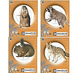 Image of Champion Target Champion Practice Targets 10 Pack