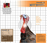 Image of Champion Traps and Targets X-ray Paper Targets