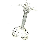 Image of Chompers Skirted Grub Double Tail Grub
