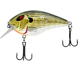 Image of CHUBBS Rattling Square Bill