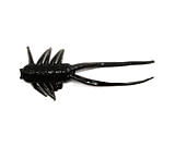 Image of Clam Maki Jamei Bug