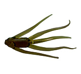 Image of Clam Maki Water Spider