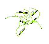 Image of Clam String Tie Stop Knots