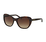 Image of Coach HC8204F Sunglasses