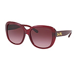 Image of Coach HC8207F Sunglasses