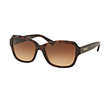 Image of Coach L145 HC8160 Progressive Prescription Sunglasses