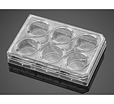Image of Corning PLATES6WL Biocoat Matrigel CS5 354671