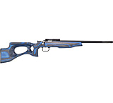 Image of Crickett Extreme Bolt Action Rifle With Thumbhole Stock, .22 Long Rifle, 16.12in Barrel
