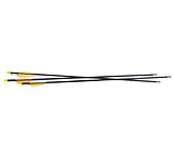 Image of CenterPoint Youth Fiberglass Arrows