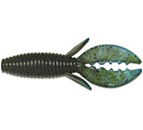 Image of Culprit Water Beetle