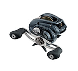 Image of Daiwa Aird Baitcast Reel