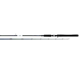 Image of Daiwa RG Walleye Conventional Rod