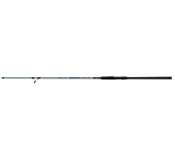 Image of Daiwa TD Surf Spinning Rod