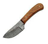 Image of Damascus Skinner w/ Olive Wood Handle