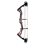 Image of Darton Archery Compound Bow Package