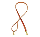 Image of DeSantis Handlers Lead