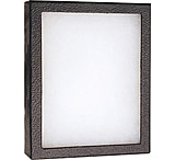 Image of Displays 24 Cotton Filled Display Boxes