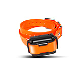 Image of Dogtra iQ Plus Dog Training e-Collar