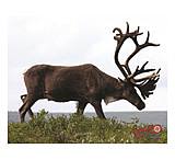 Image of DuraMesh Archery Target Caribou