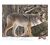 Image of DuraMesh Archery Target Coyote