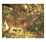 Image of DuraMesh Archery Target