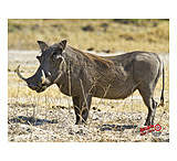 Image of DuraMesh Archery Target