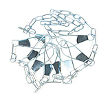 Image of Eagle Claw Chain Stringer, 9 Snap