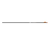 Image of Easton 5mm Axis Sport Arrows