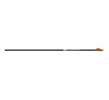 Image of Easton 5mm Axis Sport Arrows