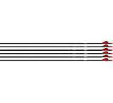 Image of Easton 5mm Autumn Orange FMJ 300 Arrows w/2in Bully Vanes