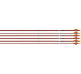 Image of Easton 5mm Autumn Orange FMJ 400 Arrows w/2in Bully Vanes