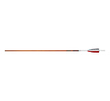 Image of Easton Carbon Legacy Arrows