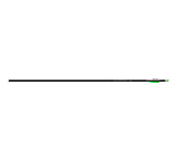 Image of Easton Genesis Arrows 1002178