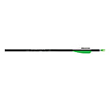 Image of Easton Genesis Arrows 1004857