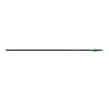 Image of Easton Genesis V2 Arrows