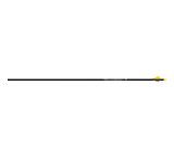 Image of Easton Sonic 6.0 Arrows