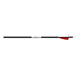 Image of Easton Vector Arrows Bulk Pack 1004849