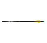 Image of Easton X10 Parallel Pro Arrows 1005889