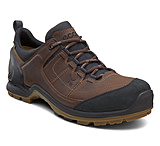 Image of ECCO BIOM Terrain Lo GTX Hiking Boot - Men's