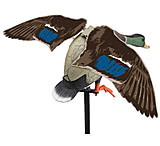 Image of Edge Expedite Rapid Flyer Lucky Duck 714102