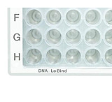 Image of Eppendorf Plate 96w 1000 Dna Pk80 925000103