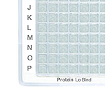 Image of Eppendorf Plate 96w 500 Prot Lob Pk160 925000096
