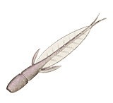 Image of Evergreen C-4 Leech Soft Bait