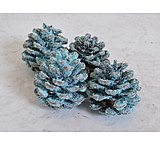 Image of Firebuggz Magical Campfire Cones 4 Pack